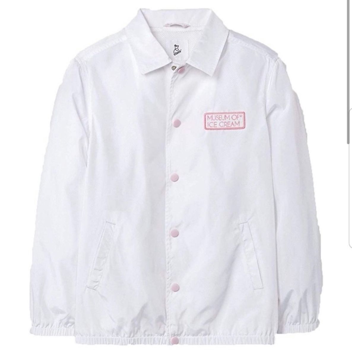 art class x Museum of Ice Cream